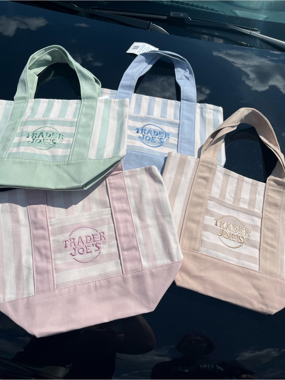 Trader Joe’s Mini Pastel Stripe Canvas Tote Bags Set of 4 Summer 2026 Viral Bag